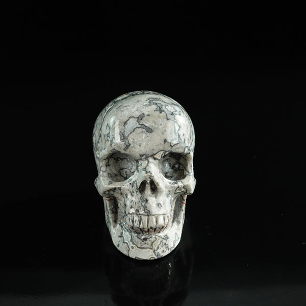3.0" Grey Picture Jasper Crystal Skull Carving - Unique Piece #GP01