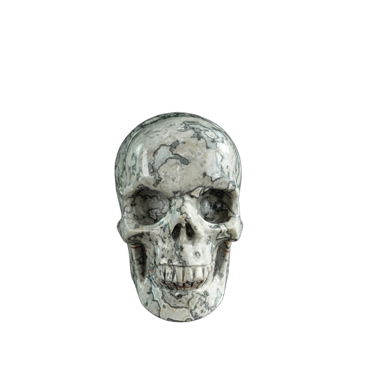 3.0" Grey Picture Jasper Crystal Skull Carving - Hand Carved Decor