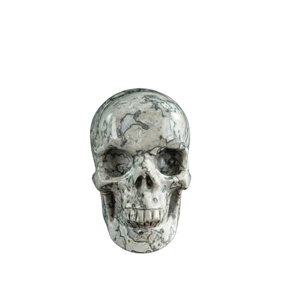 3.0" Grey Picture Jasper Crystal Skull Carving - Hand Carved Decor