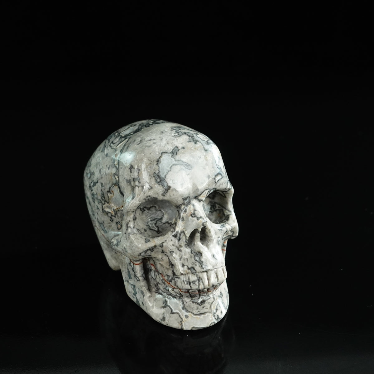 3.0" Grey Picture Jasper Crystal Skull Carving - Unique Piece #GP01