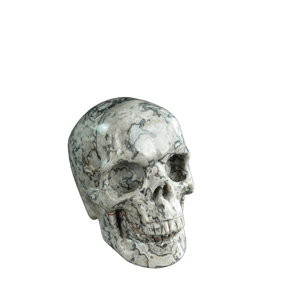 3.0" Grey Picture Jasper Crystal Skull Carving - Hand Carved Decor - alternate view