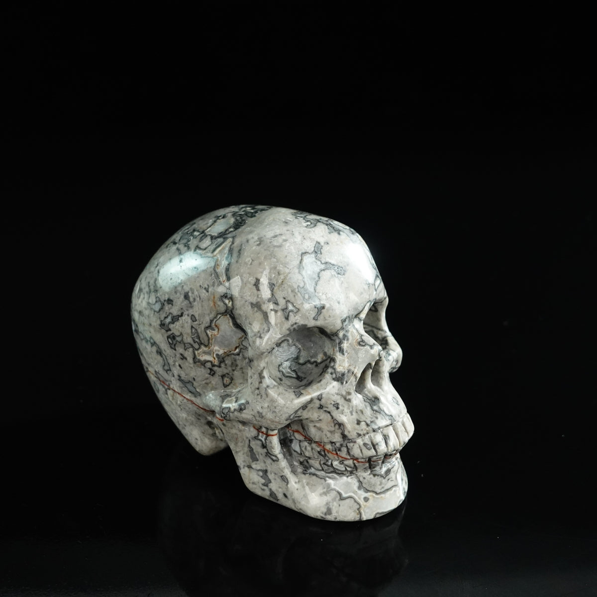 3.0" Grey Picture Jasper Crystal Skull Carving - Unique Piece #GP01
