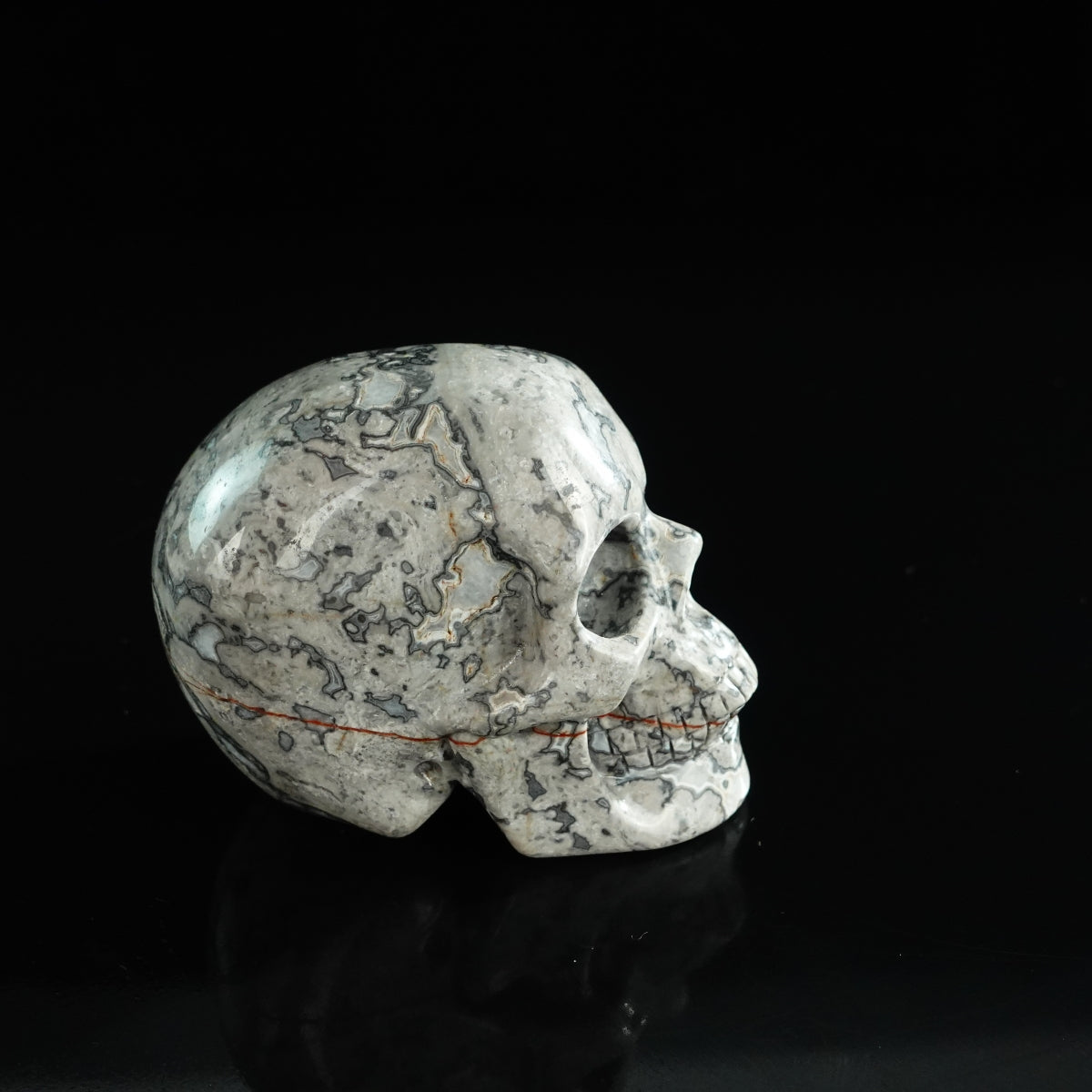 3.0" Grey Picture Jasper Crystal Skull Carving - Unique Piece #GP01