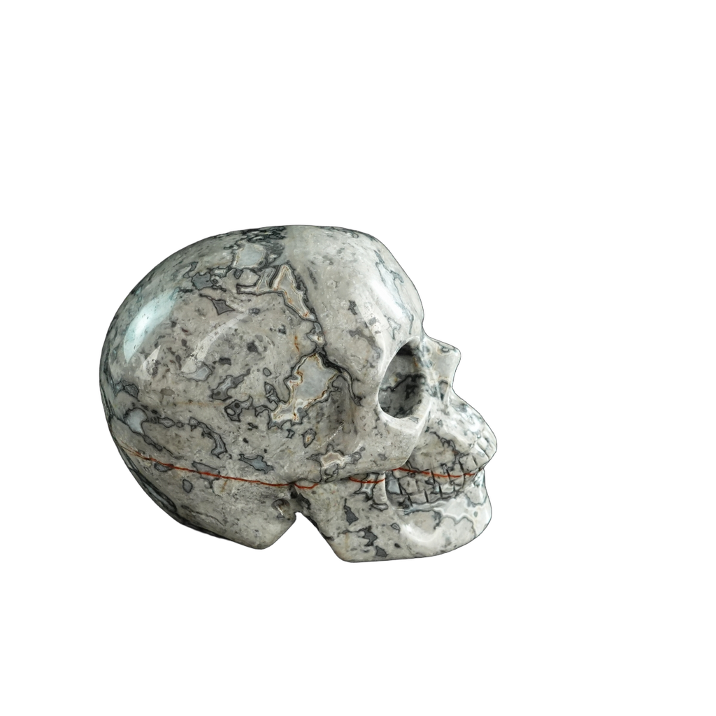 3.0" Grey Picture Jasper Crystal Skull Carving - Hand Carved Decor