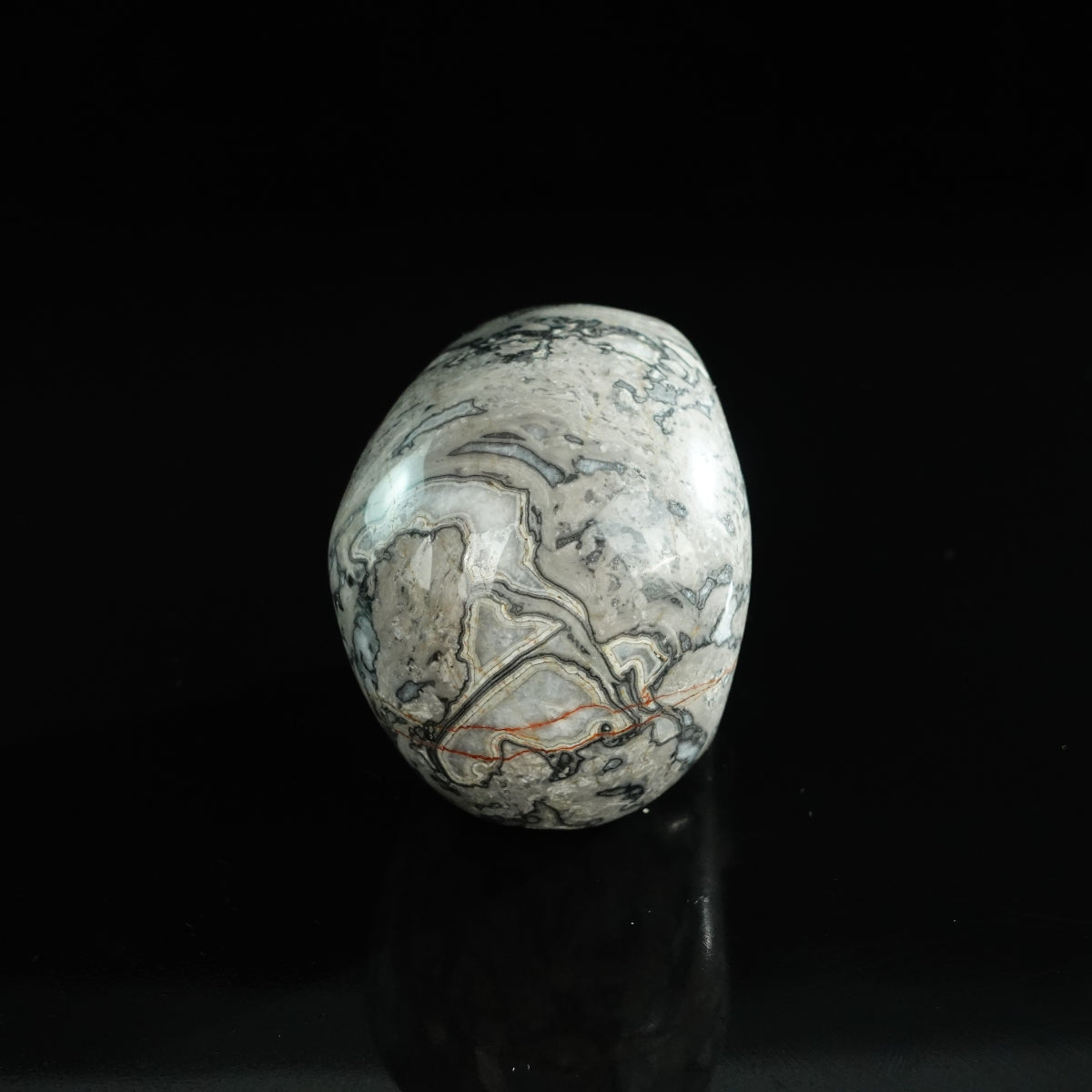 3.0" Grey Picture Jasper Crystal Skull Carving - Unique Piece #GP01
