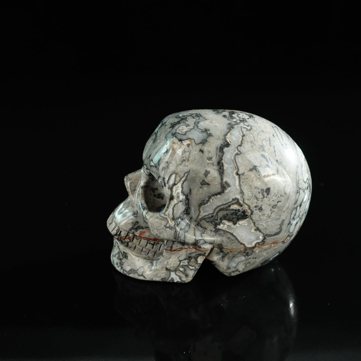 3.0" Grey Picture Jasper Crystal Skull Carving - Unique Piece #GP01