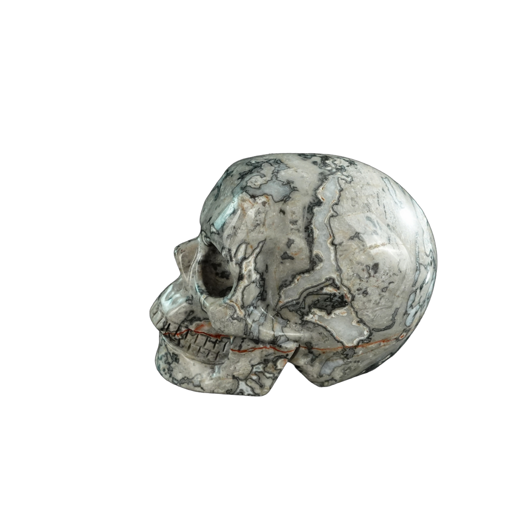 3.0" Grey Picture Jasper Crystal Skull Carving - Hand Carved Decor