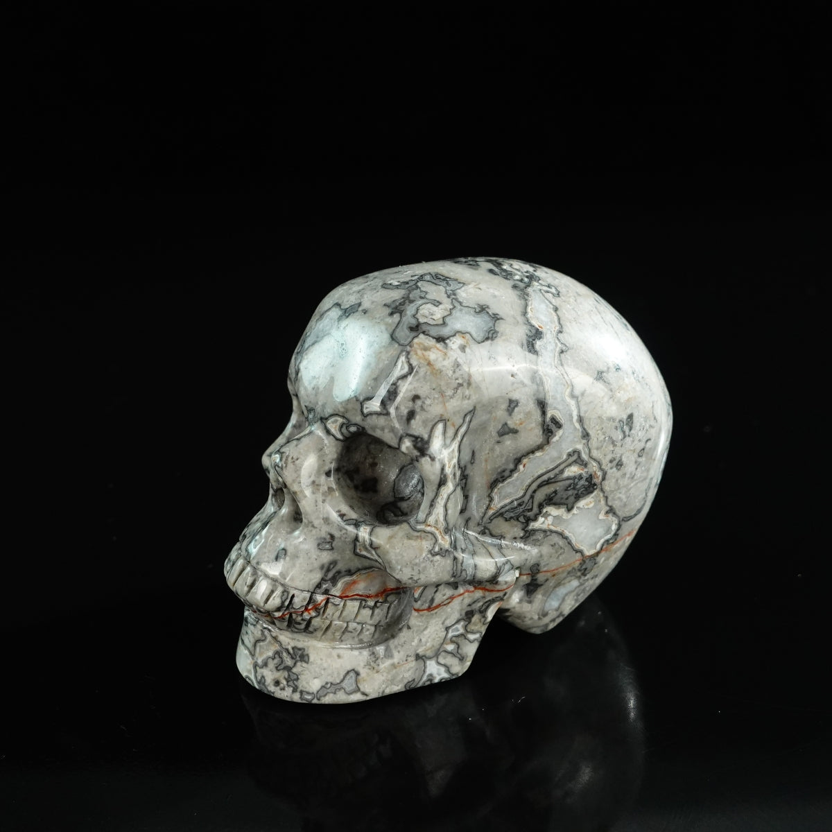 3.0" Grey Picture Jasper Crystal Skull Carving - Unique Piece #GP01