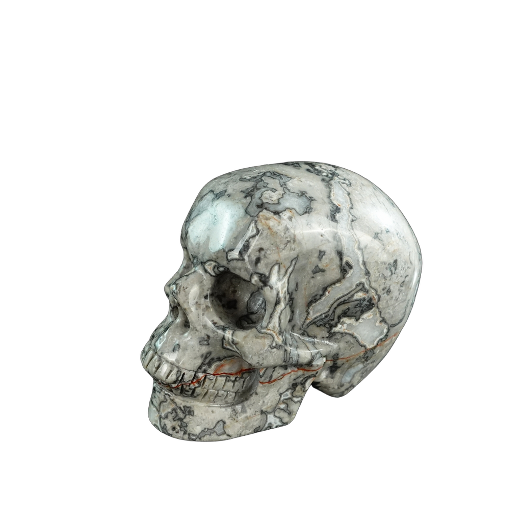 3.0" Grey Picture Jasper Crystal Skull Carving - Hand Carved Decor