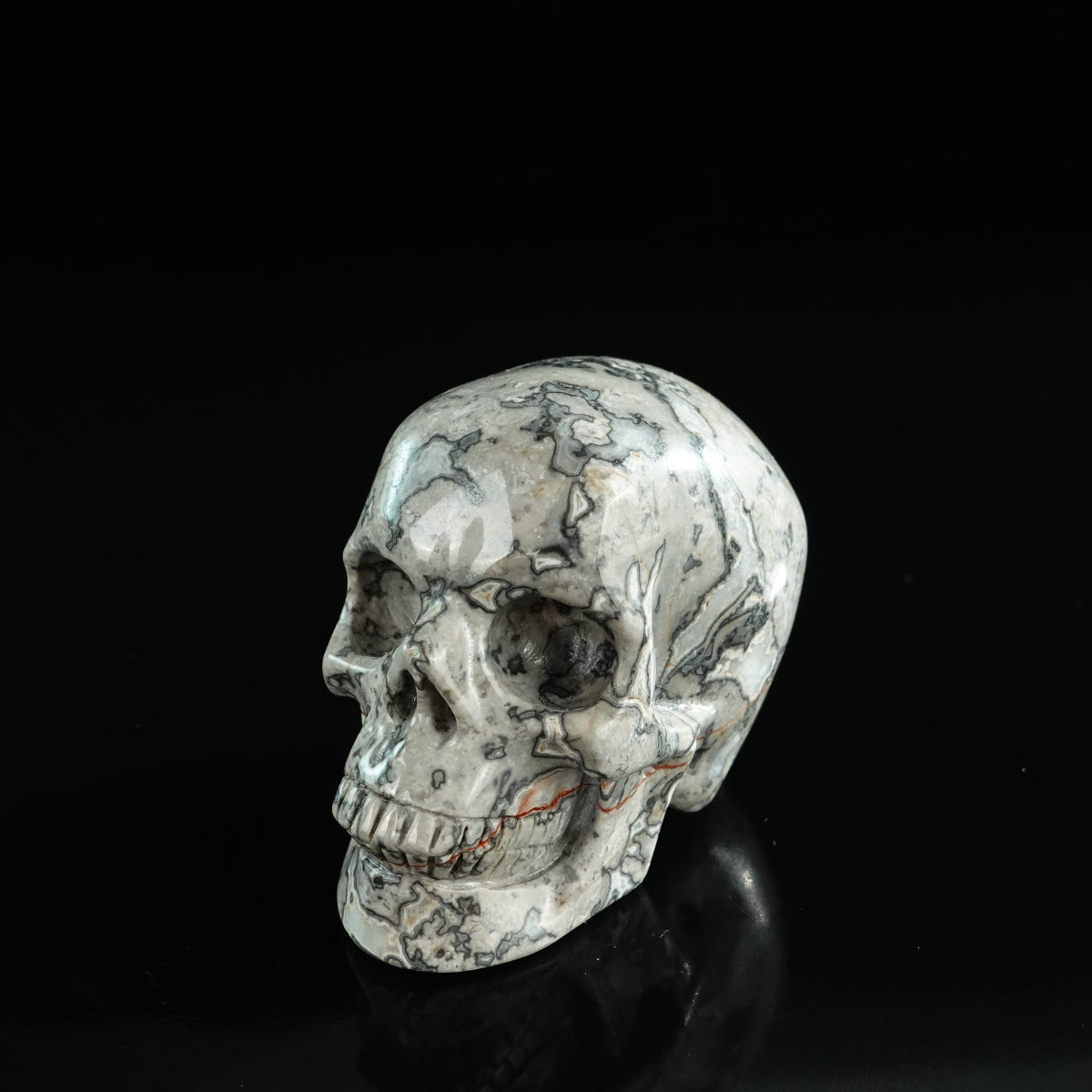 3.0" Grey Picture Jasper Crystal Skull Carving - Unique Piece #GP01