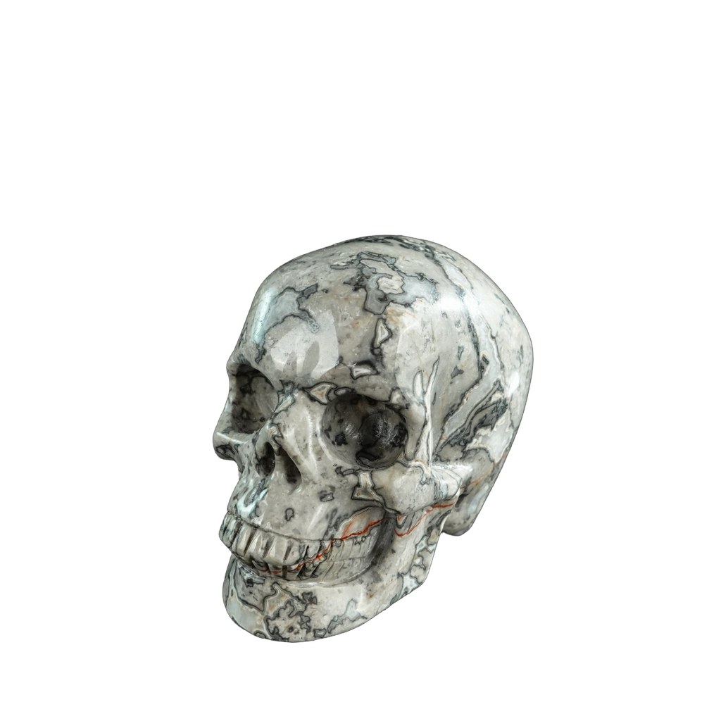 3.0" Grey Picture Jasper Crystal Skull Carving - Hand Carved Decor