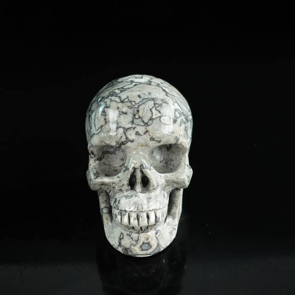3.0" Grey Picture Jasper Crystal Skull Carving - Unique Piece #GP02