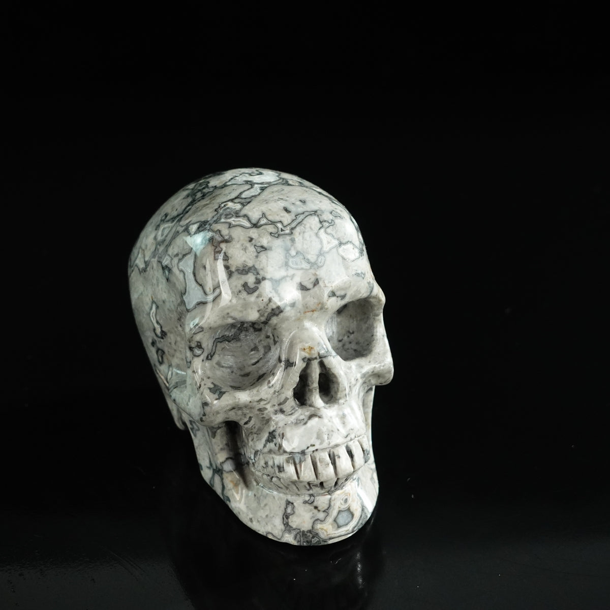 3.0" Grey Picture Jasper Crystal Skull Carving - Unique Piece #GP02