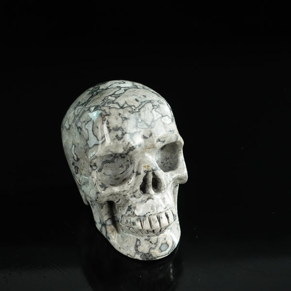 3.0" Grey Picture Jasper Crystal Skull Carving - Unique Piece #GP02 - alternate view
