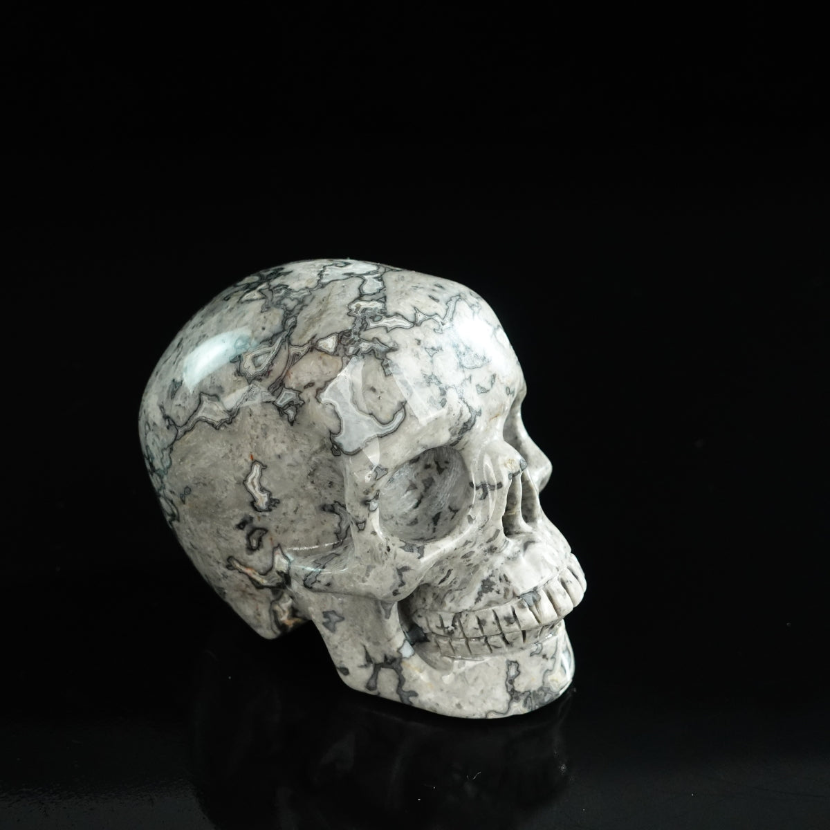 3.0" Grey Picture Jasper Crystal Skull Carving - Unique Piece #GP02