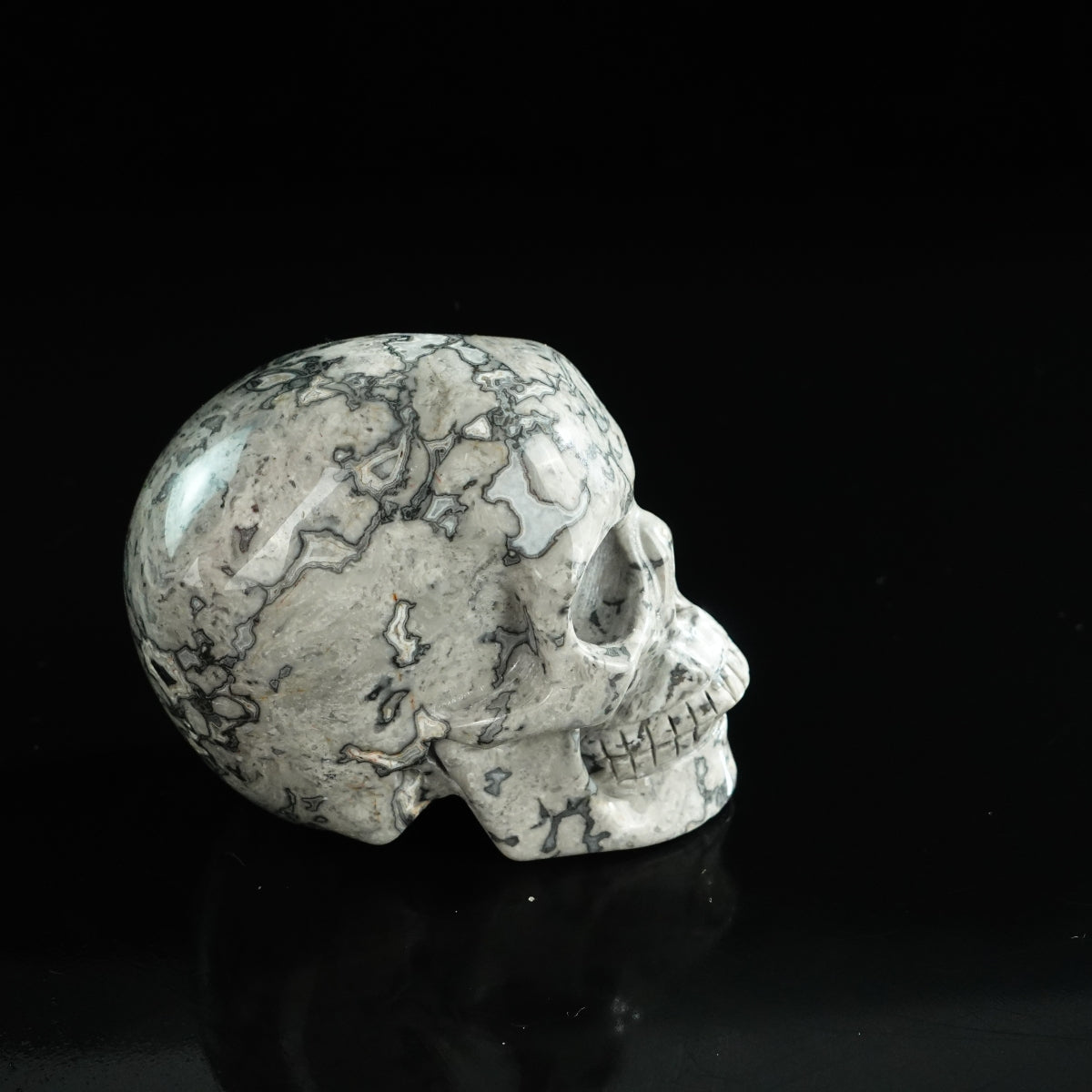 3.0" Grey Picture Jasper Crystal Skull Carving - Unique Piece #GP02