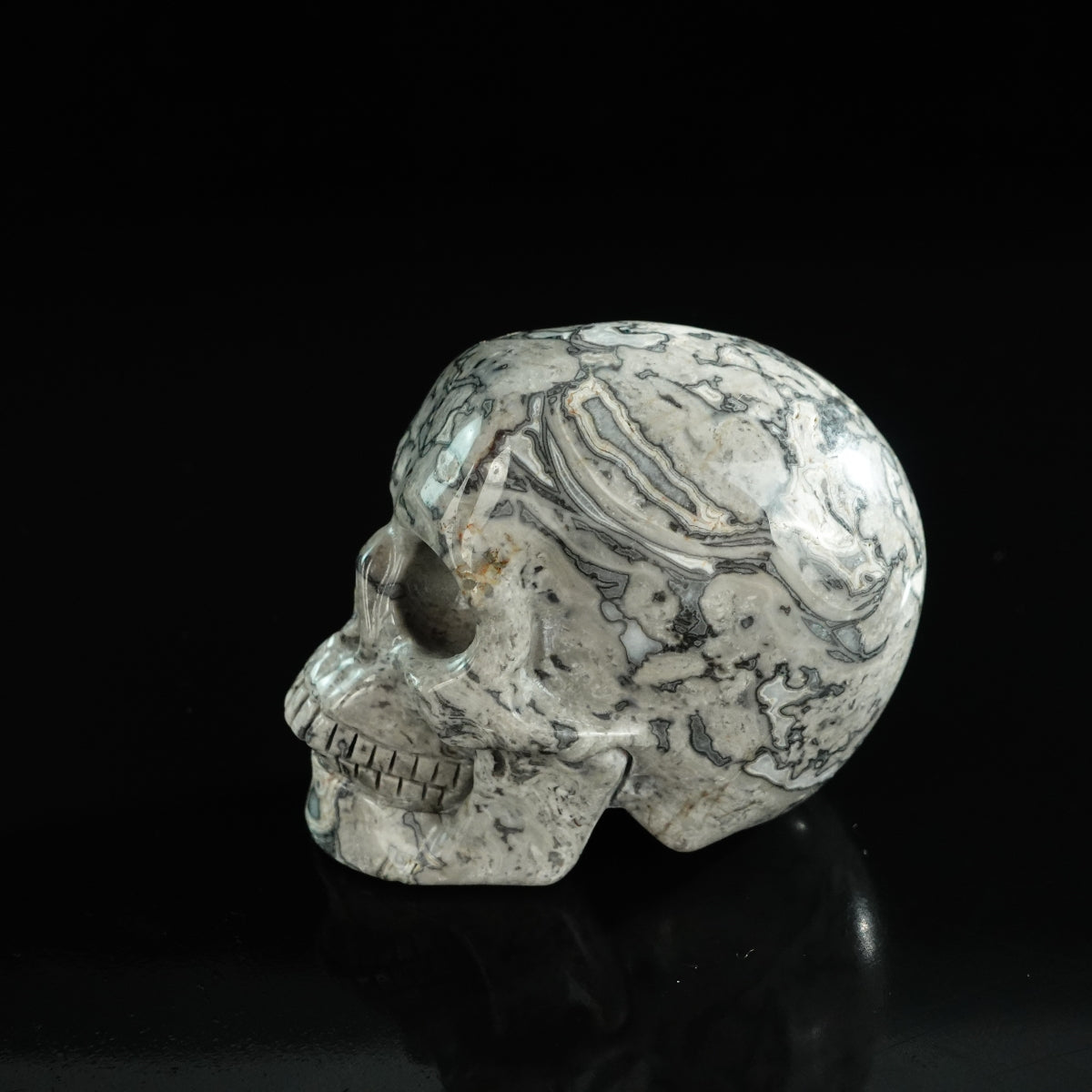 3.0" Grey Picture Jasper Crystal Skull Carving - Unique Piece #GP02