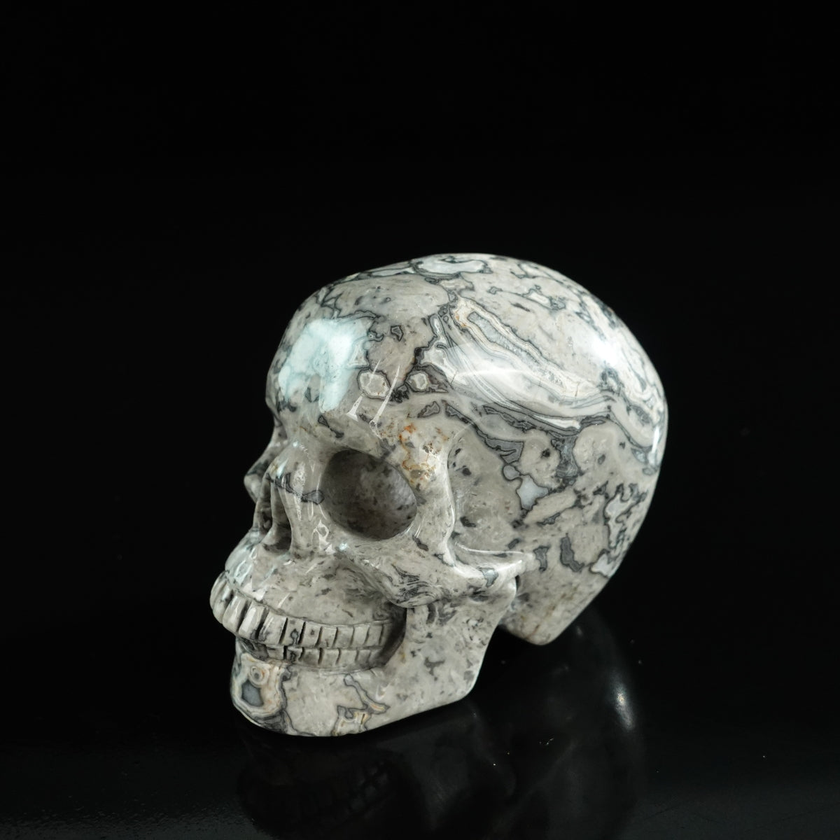 3.0" Grey Picture Jasper Crystal Skull Carving - Unique Piece #GP02