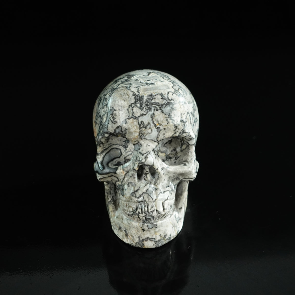 3.0" Grey Picture Jasper Crystal Skull Carving - Unique Piece #GP03