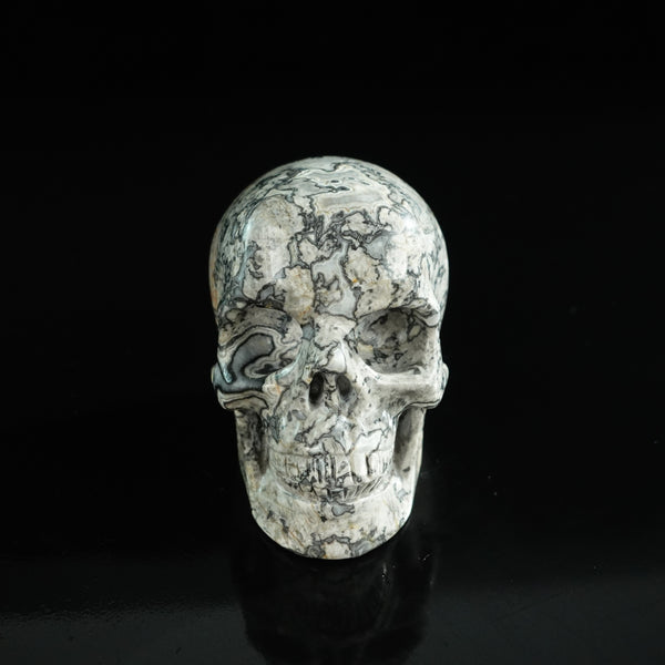 3.0" Grey Picture Jasper Crystal Skull Carving - Unique Piece #GP03