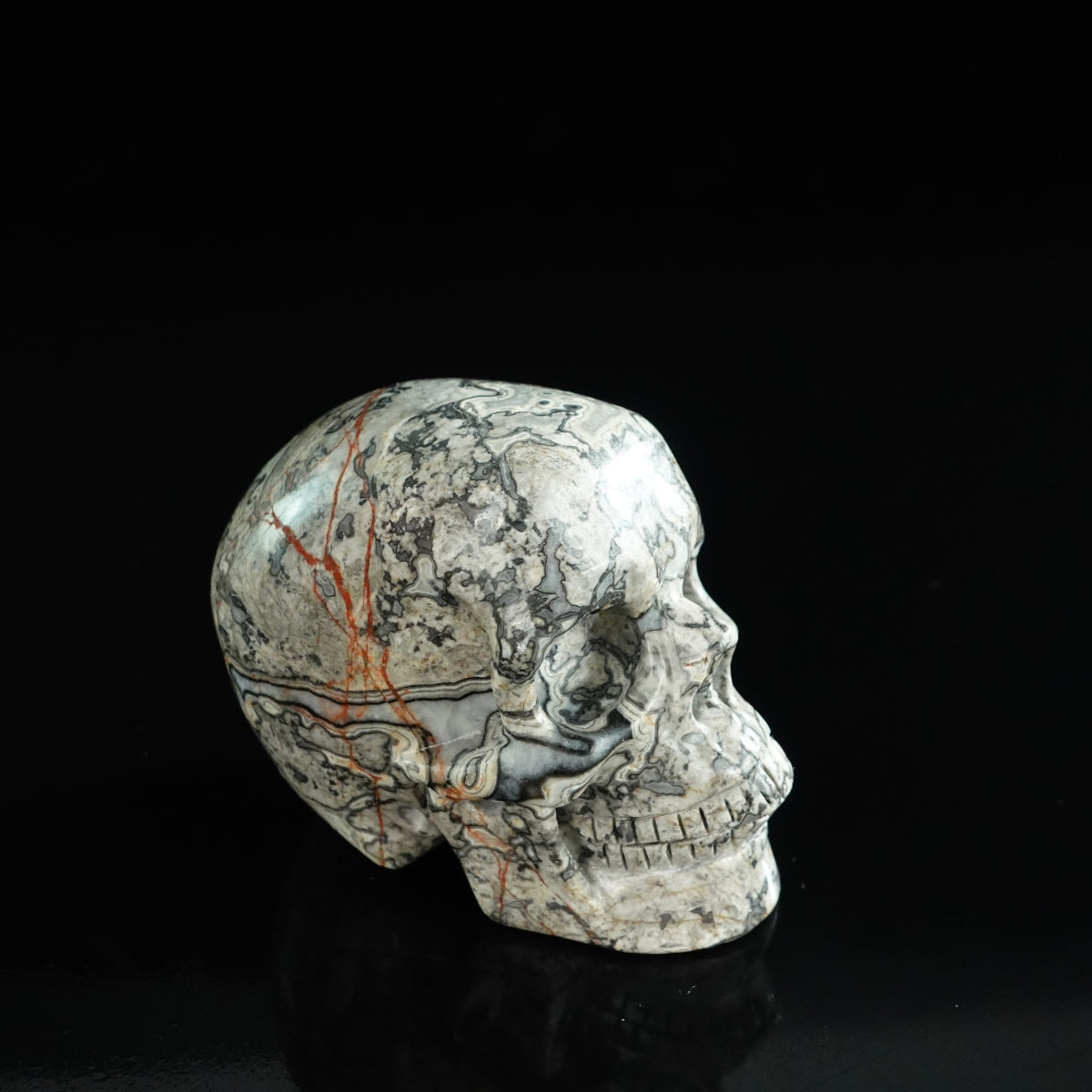 3.0" Grey Picture Jasper Crystal Skull Carving - Unique Piece #GP03