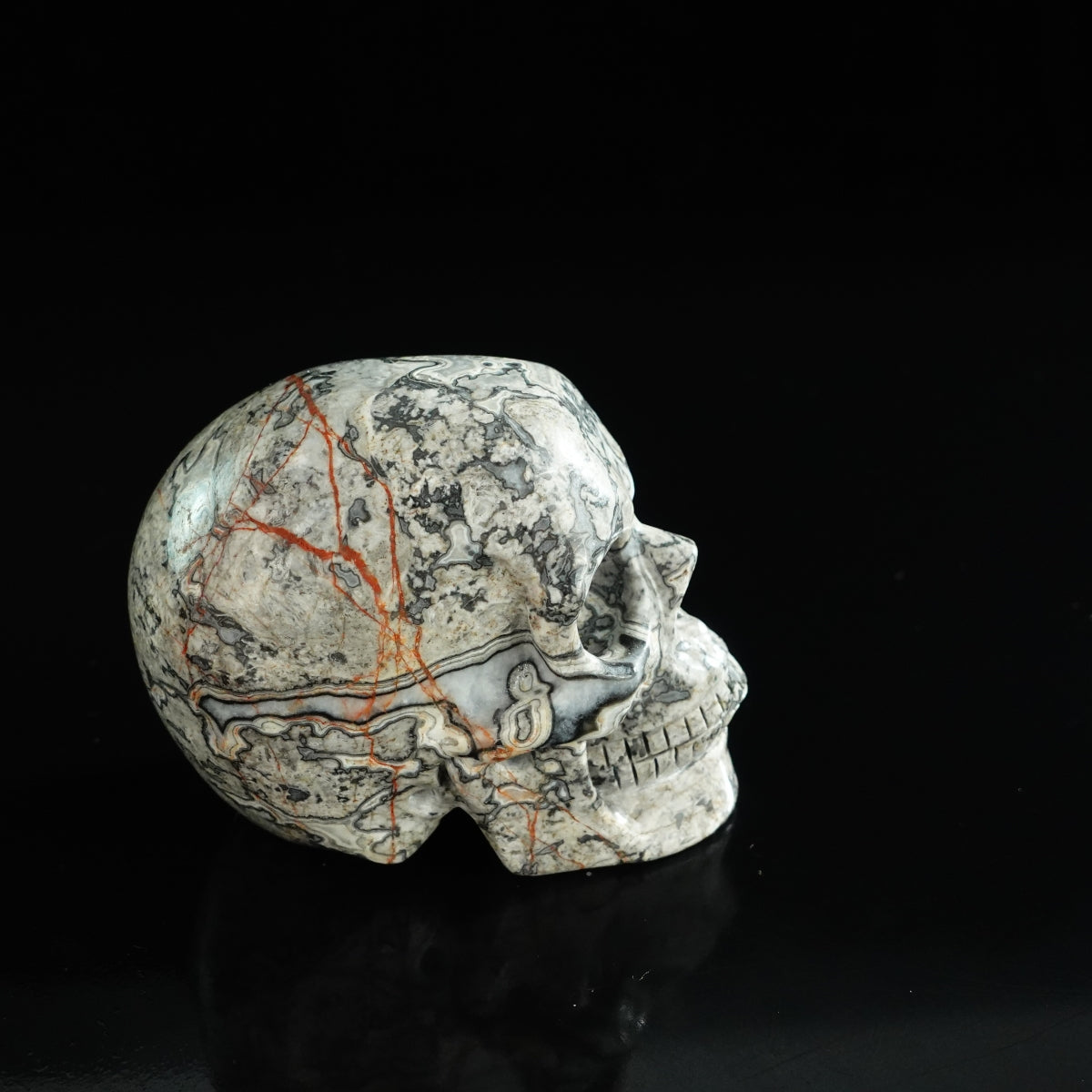 3.0" Grey Picture Jasper Crystal Skull Carving - Unique Piece #GP03
