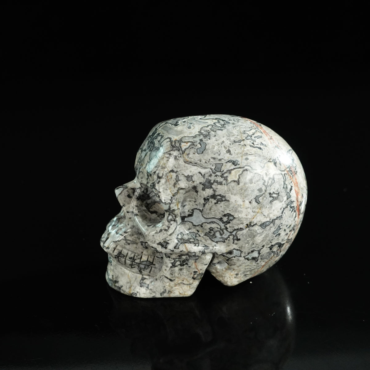 3.0" Grey Picture Jasper Crystal Skull Carving - Unique Piece #GP03
