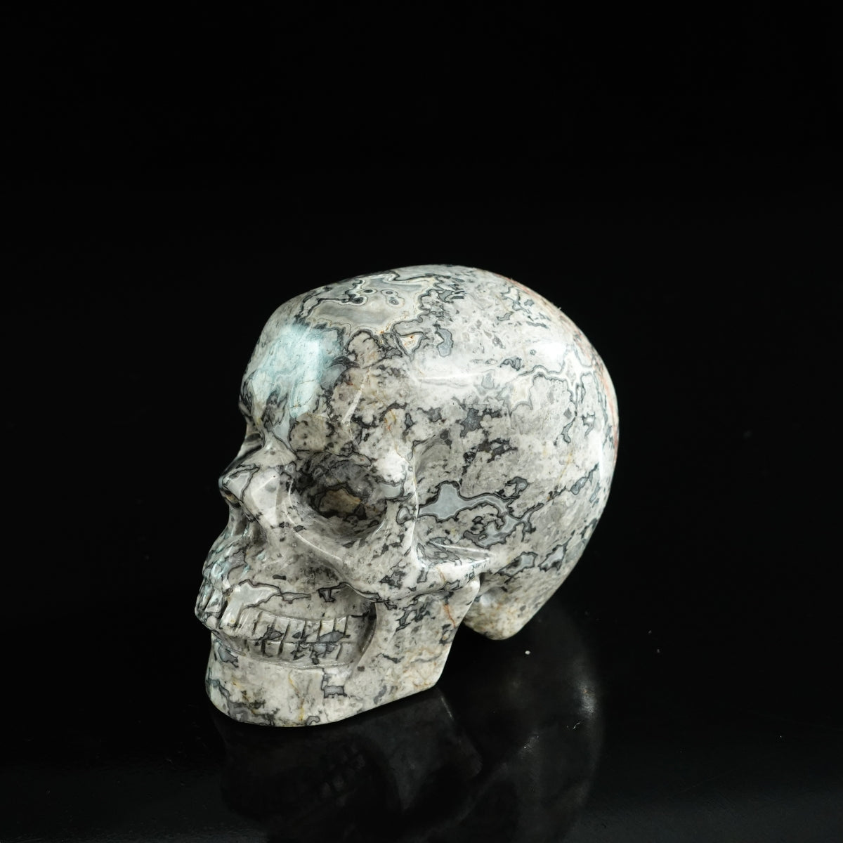3.0" Grey Picture Jasper Crystal Skull Carving - Unique Piece #GP03