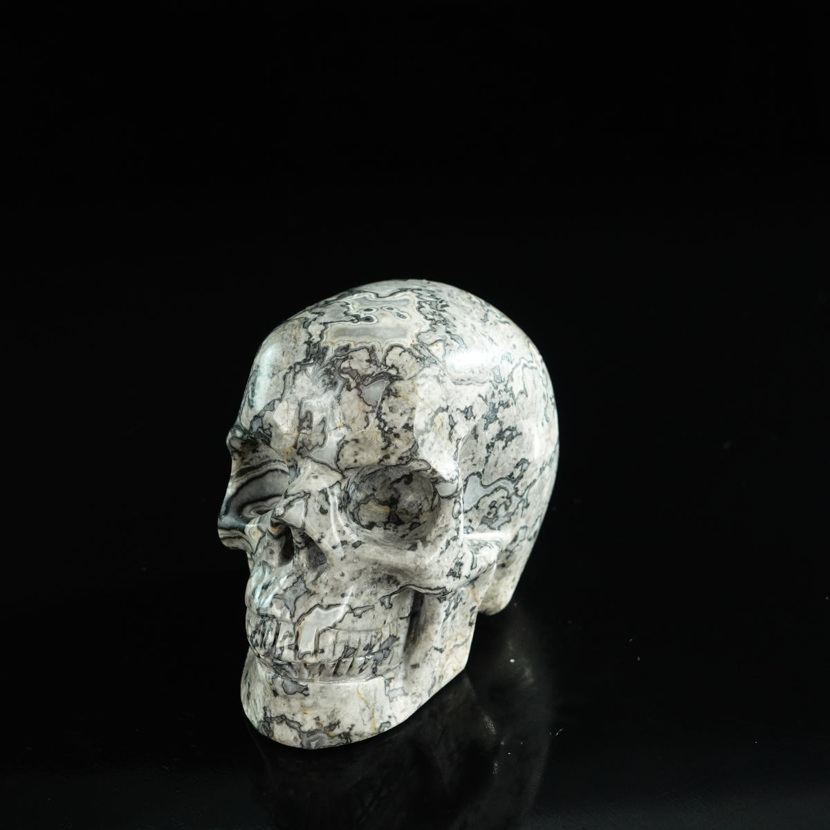 3.0" Grey Picture Jasper Crystal Skull Carving - Unique Piece #GP03