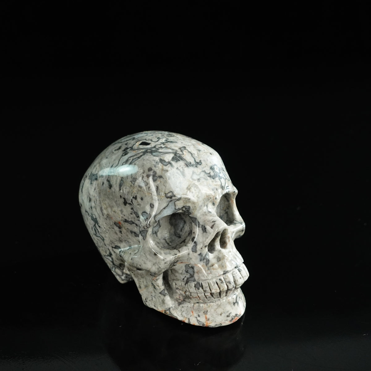 3.0" Grey Picture Jasper Crystal Skull Carving - Unique Piece #GP04