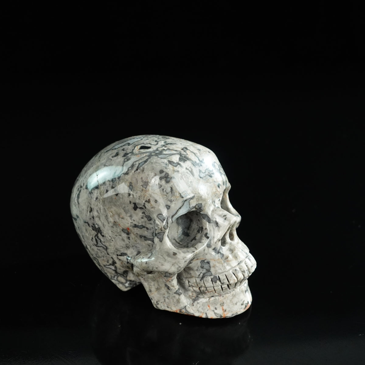 3.0" Grey Picture Jasper Crystal Skull Carving - Unique Piece #GP04