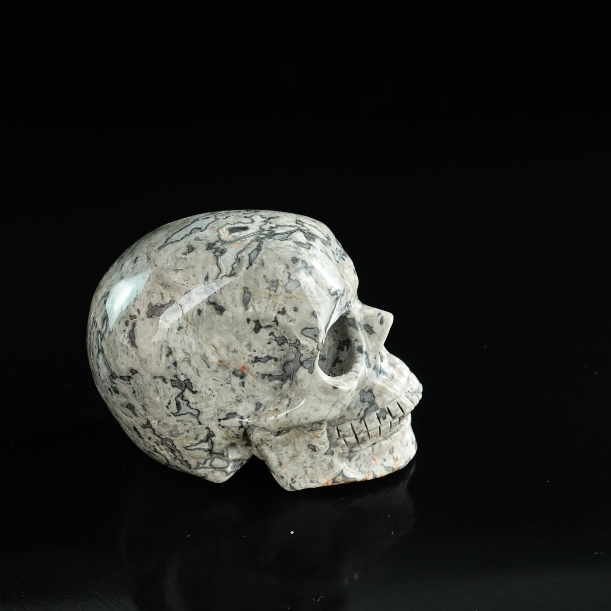 3.0" Grey Picture Jasper Crystal Skull Carving - Unique Piece #GP04