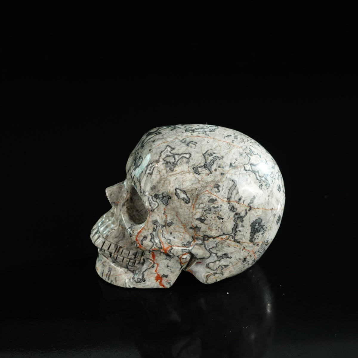 3.0" Grey Picture Jasper Crystal Skull Carving - Unique Piece #GP04