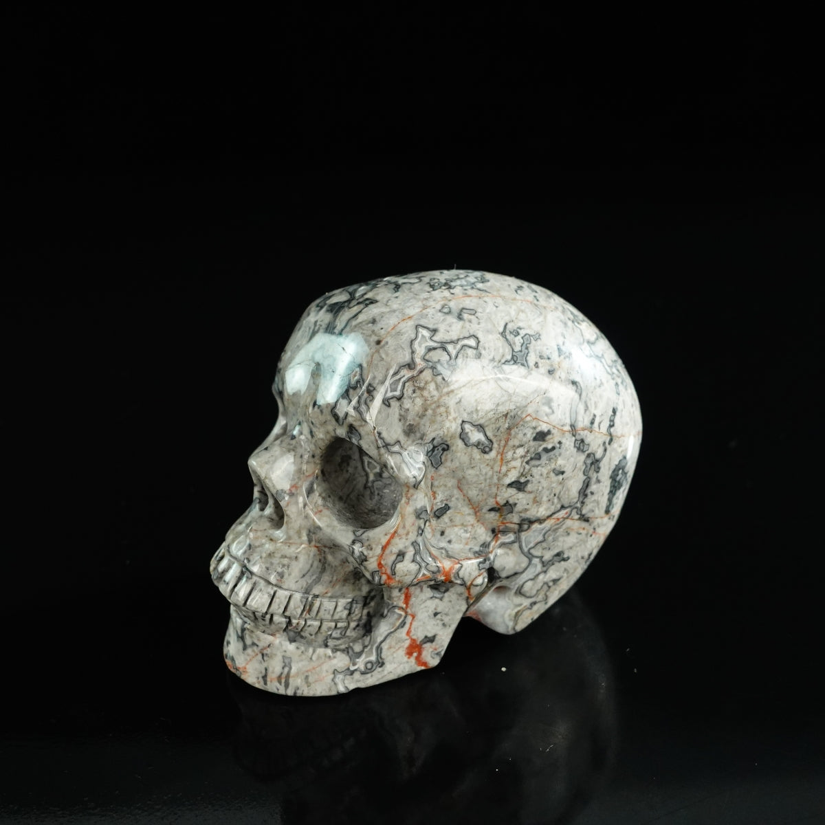 3.0" Grey Picture Jasper Crystal Skull Carving - Unique Piece #GP04