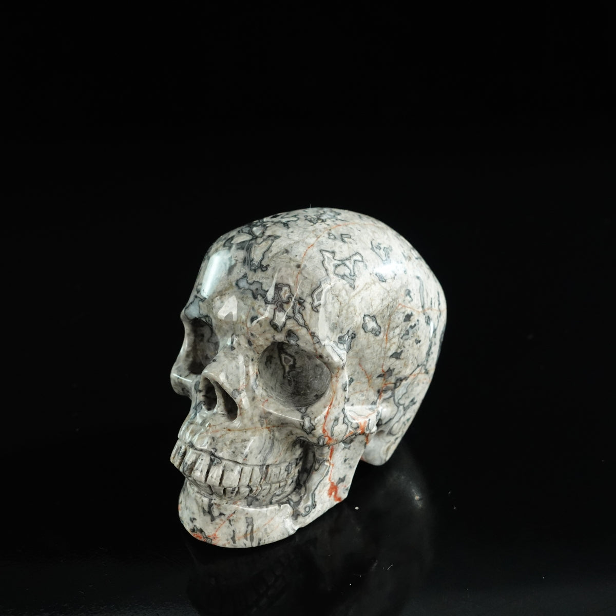 3.0" Grey Picture Jasper Crystal Skull Carving - Unique Piece #GP04