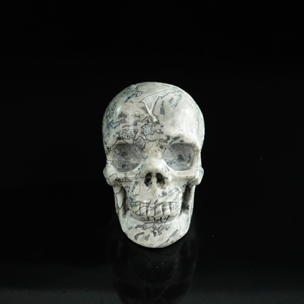 3.0" Grey Picture Jasper Crystal Skull Carving - Unique Piece #GP05
