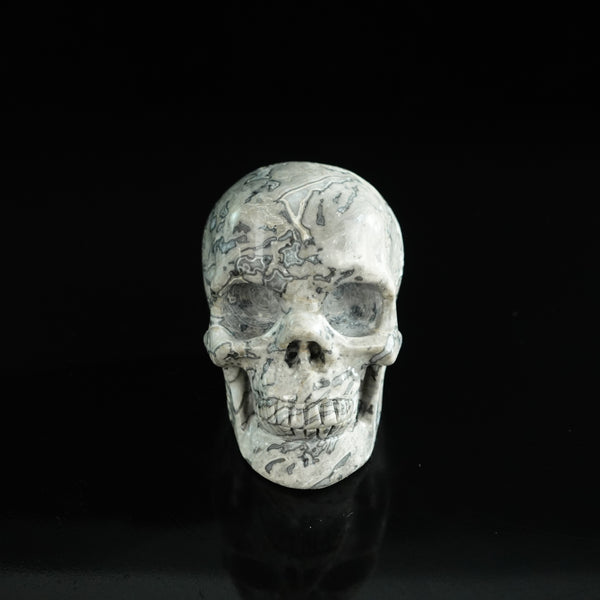 3.0" Grey Picture Jasper Crystal Skull Carving - Unique Piece #GP05