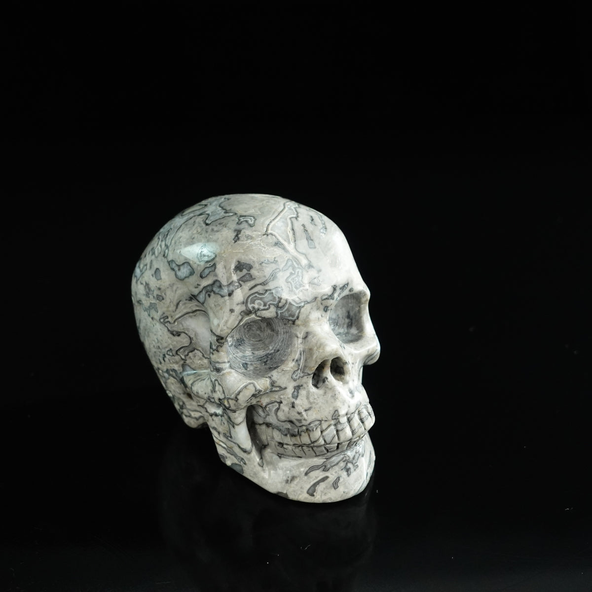 3.0" Grey Picture Jasper Crystal Skull Carving - Unique Piece #GP05
