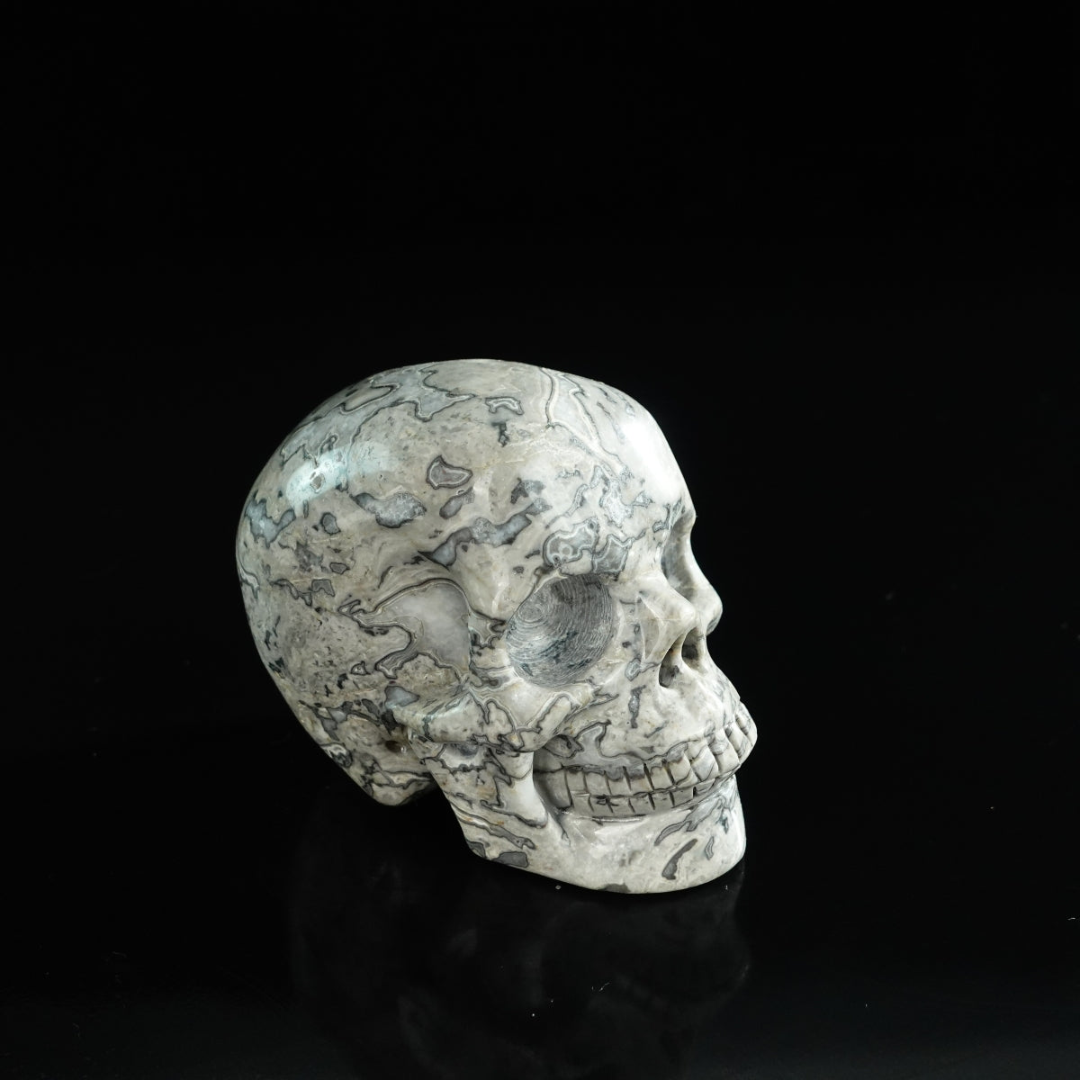 3.0" Grey Picture Jasper Crystal Skull Carving - Unique Piece #GP05