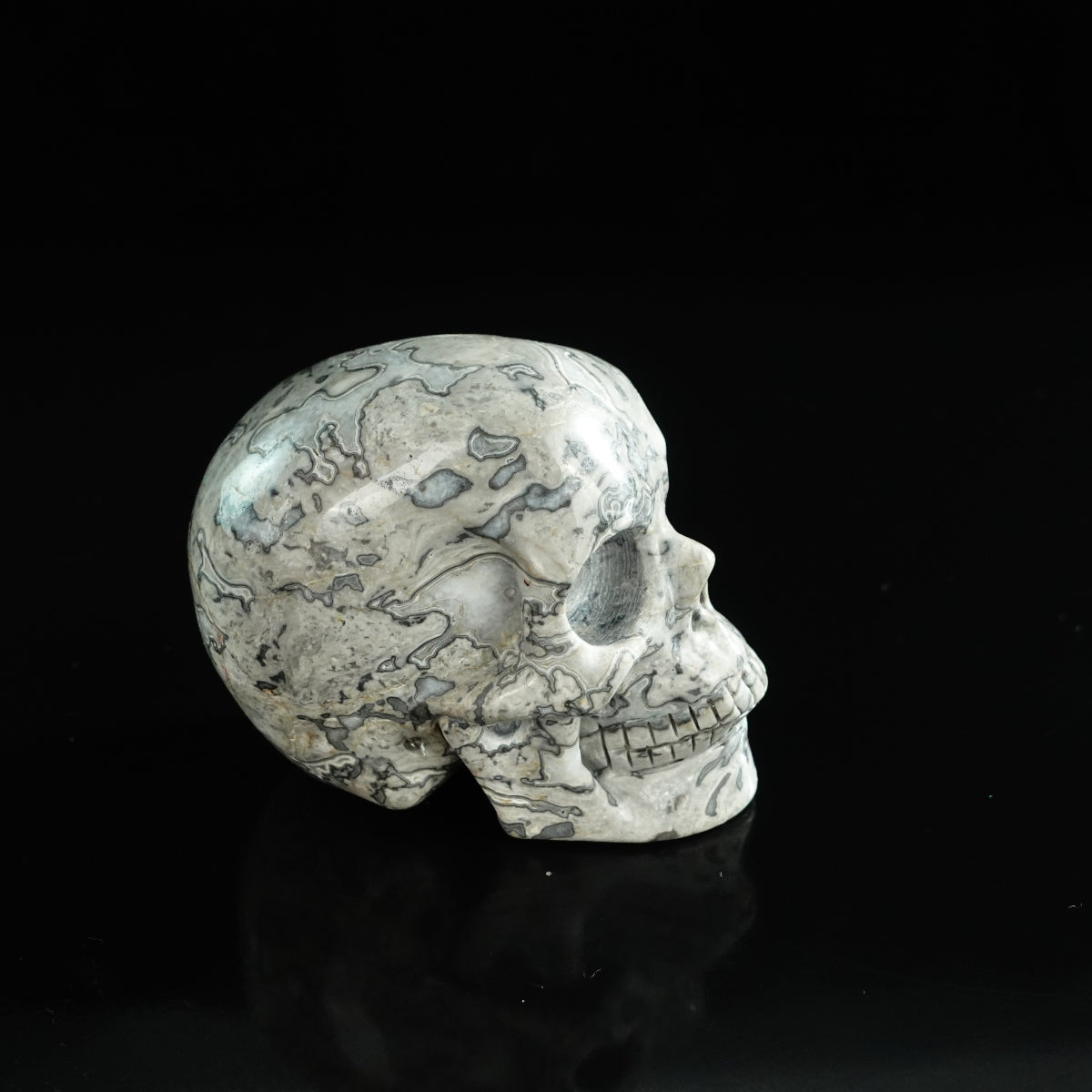 3.0" Grey Picture Jasper Crystal Skull Carving - Unique Piece #GP05