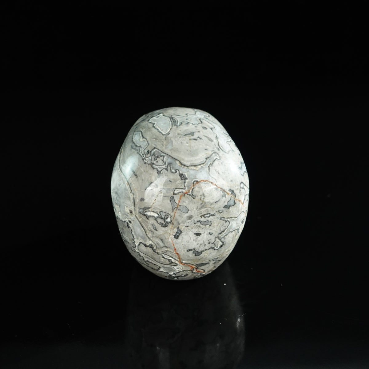 3.0" Grey Picture Jasper Crystal Skull Carving - Unique Piece #GP05