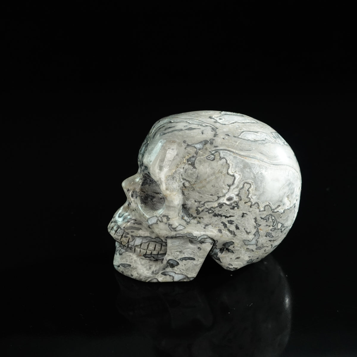 3.0" Grey Picture Jasper Crystal Skull Carving - Unique Piece #GP05