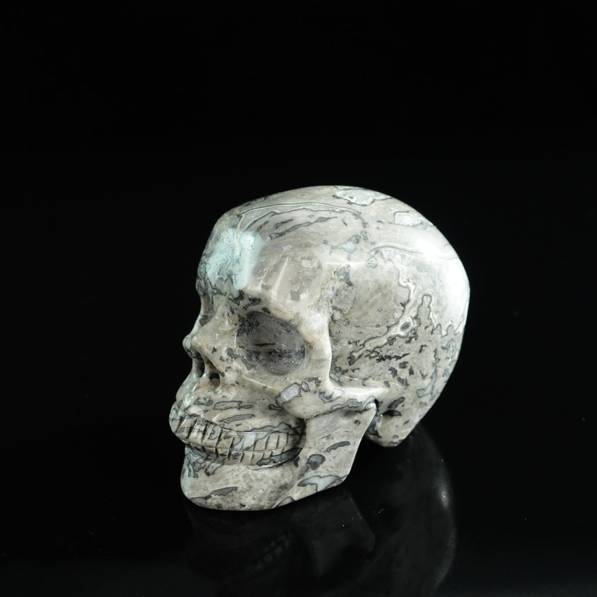 3.0" Grey Picture Jasper Crystal Skull Carving - Unique Piece #GP05