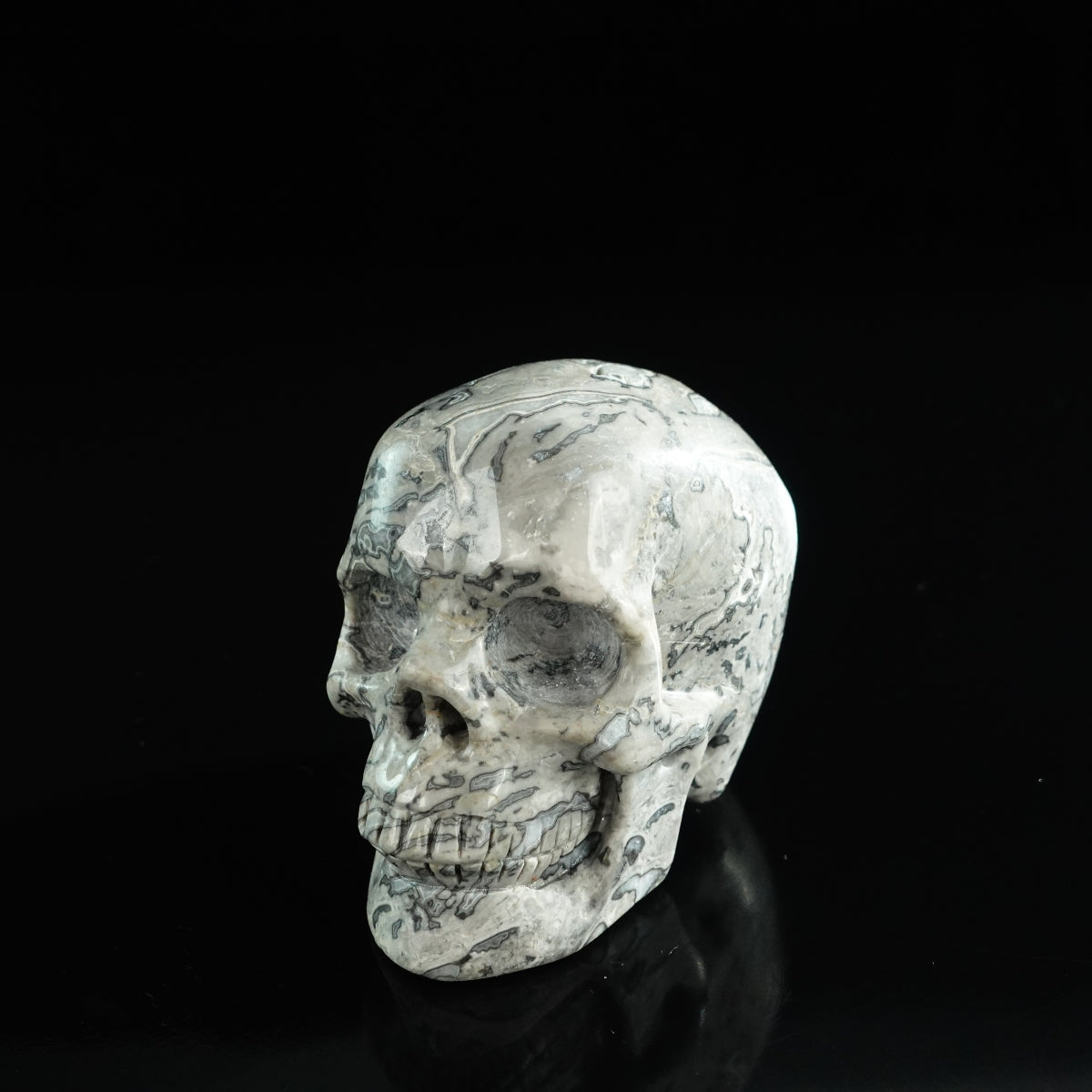 3.0" Grey Picture Jasper Crystal Skull Carving - Unique Piece #GP05