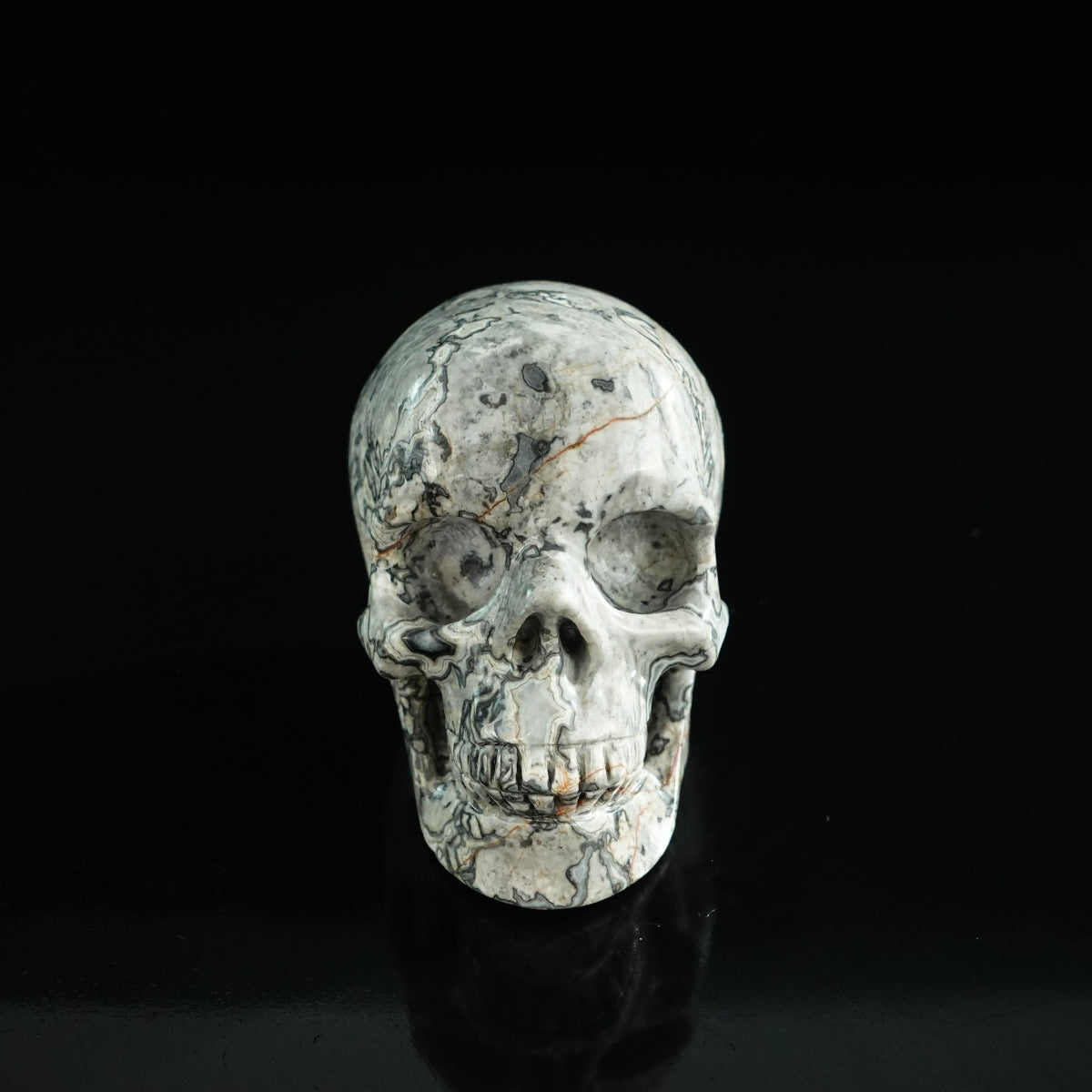 3.0" Grey Picture Jasper Crystal Skull Carving - Unique Piece #GP06