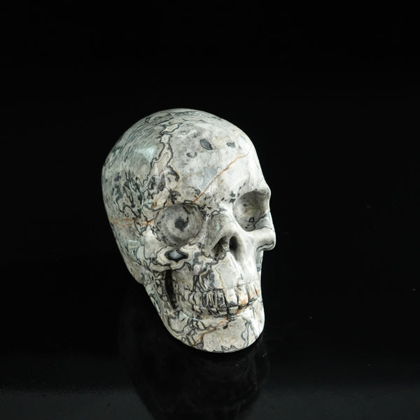 3.0" Grey Picture Jasper Crystal Skull Carving - Unique Piece #GP06 - alternate view