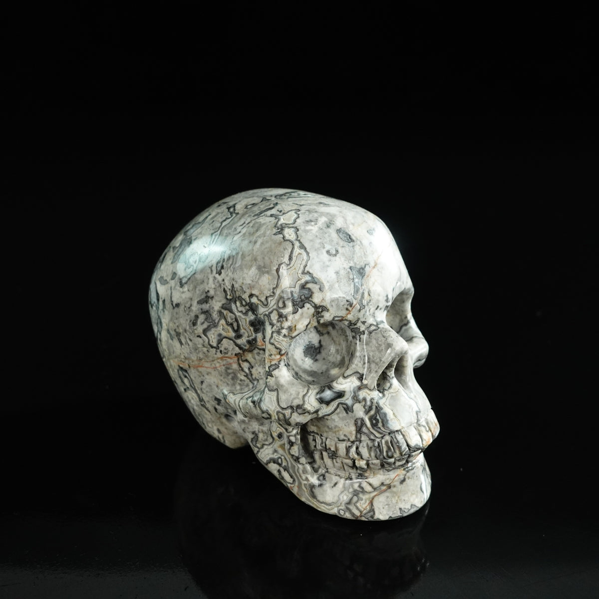 3.0" Grey Picture Jasper Crystal Skull Carving - Unique Piece #GP06