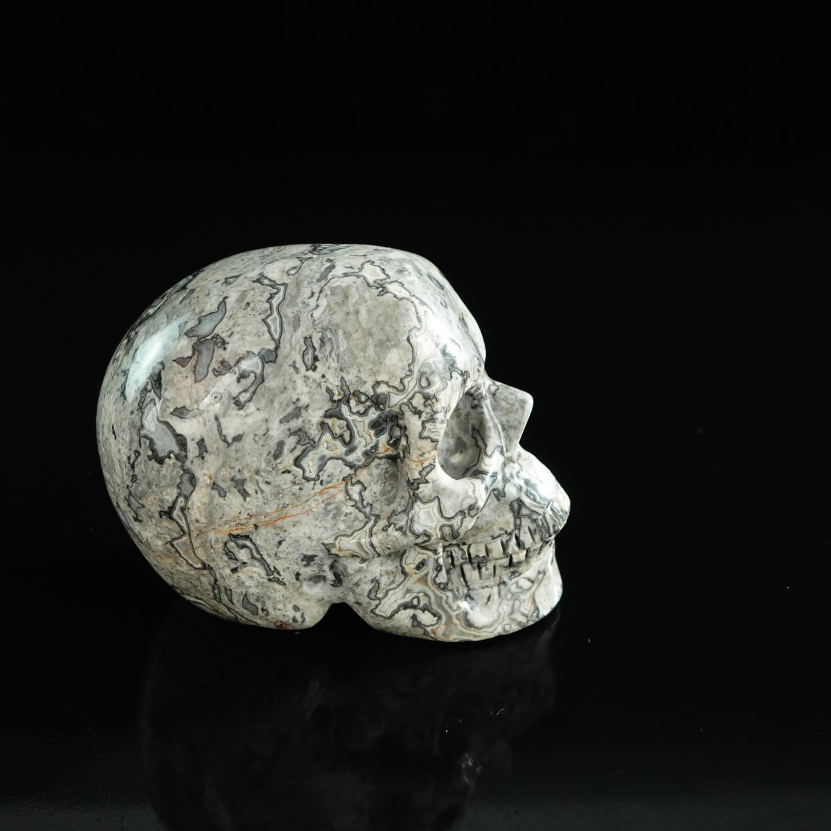 3.0" Grey Picture Jasper Crystal Skull Carving - Unique Piece #GP06