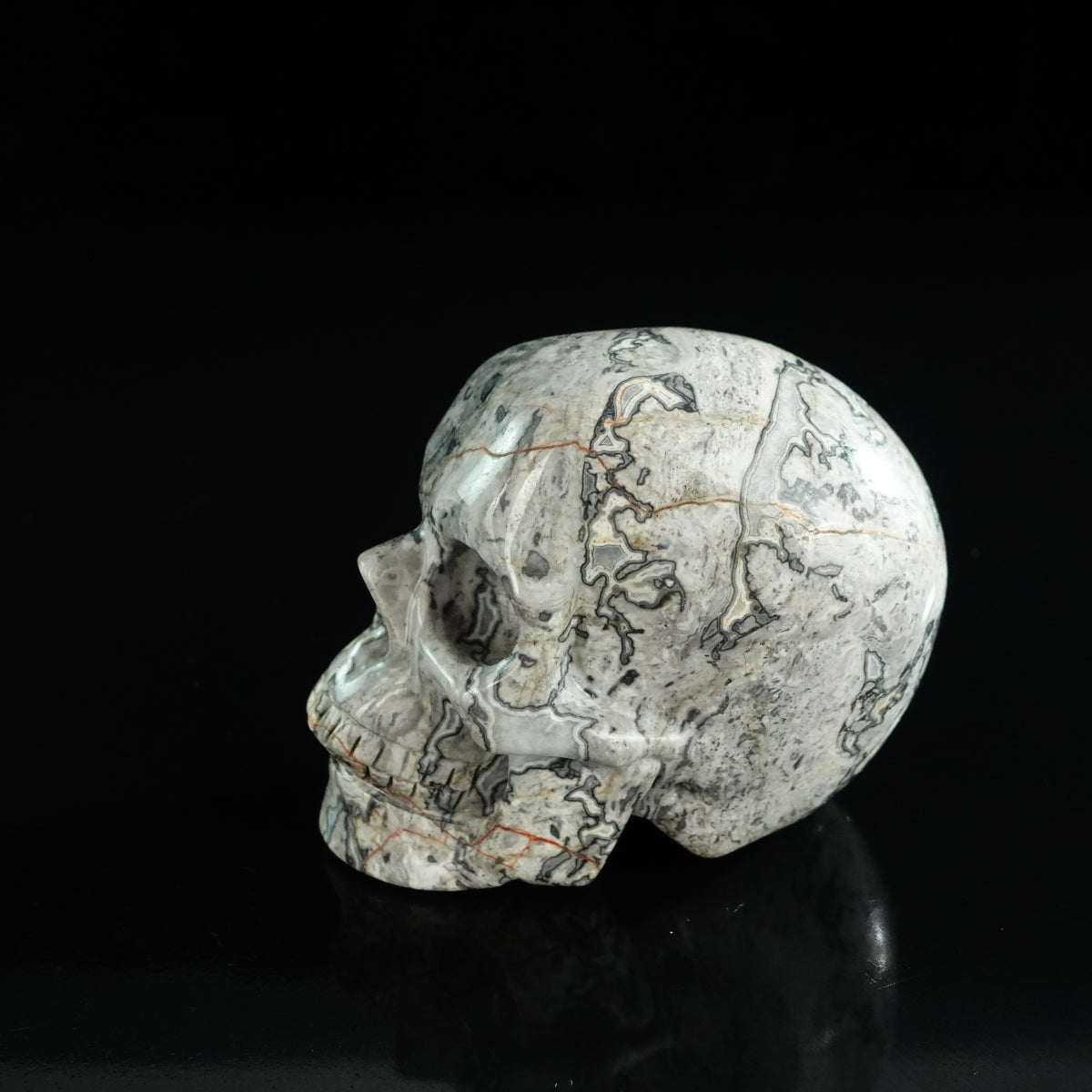 3.0" Grey Picture Jasper Crystal Skull Carving - Unique Piece #GP06