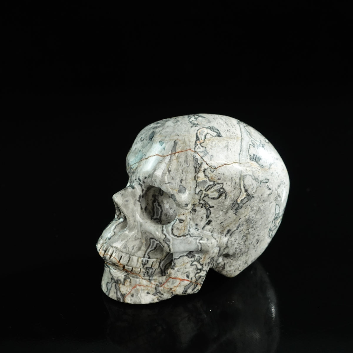 3.0" Grey Picture Jasper Crystal Skull Carving - Unique Piece #GP06